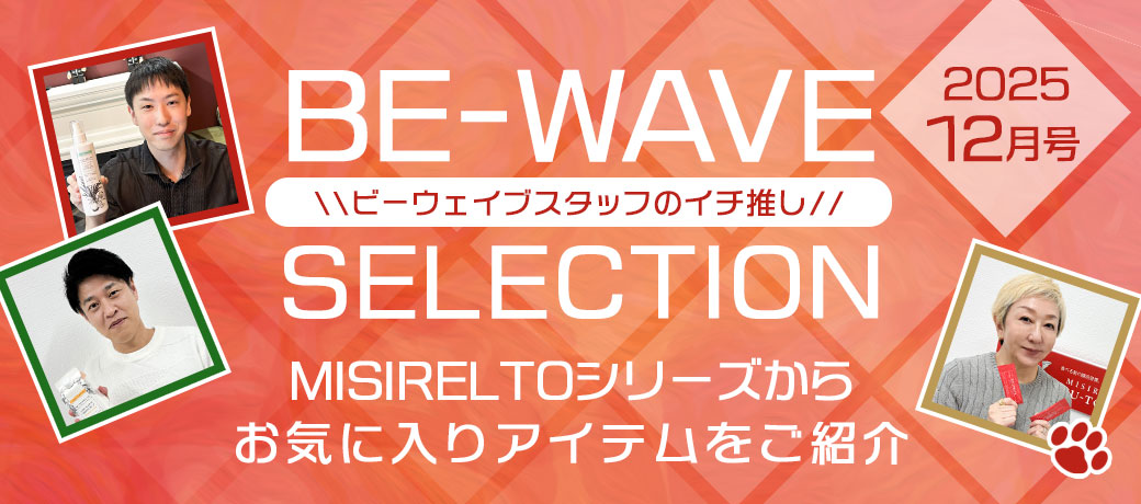 BE-WAVEセレクション