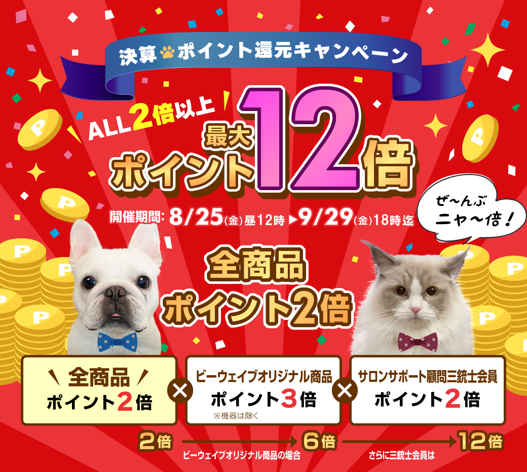 決算キャンペーン