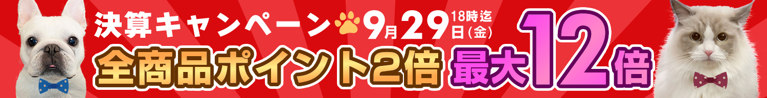 決算キャンペーン2023