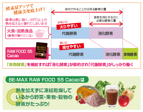 史上一番安い 新品、未使用 BE-MAX RAW FOOD 55 Cacao 酵素ドリンク