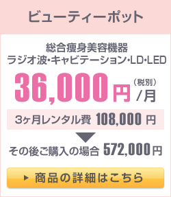 ビューティーボット月額36,000円