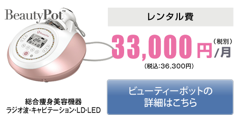 ビューティーポット月額33,000円