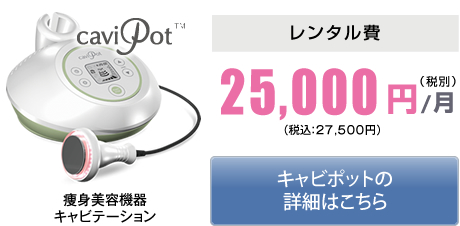 キャビポット月額25,000円