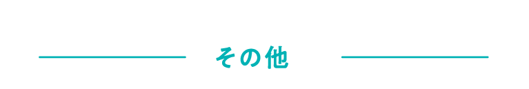 その他