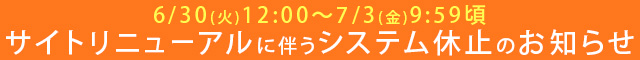 リニューアルに伴う休業期間