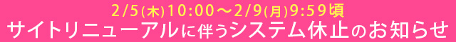 リニューアル休業